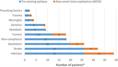 The Outcome of Status Epilepticus and Long-Term Follow-Up